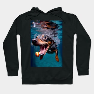 Dogs in Water #7 Hoodie